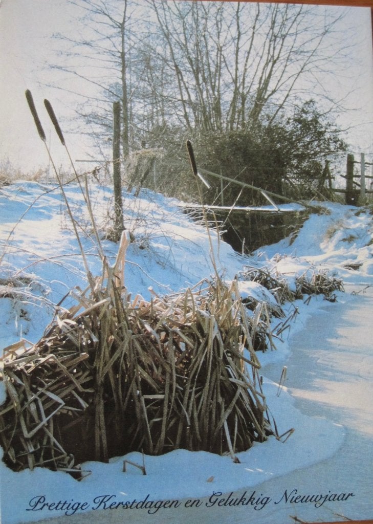 Prettige kerstdagen - bevroren sloot met riet in de sneeuw, Verzenden, 1980 tot heden, Gelopen, Seizoenen