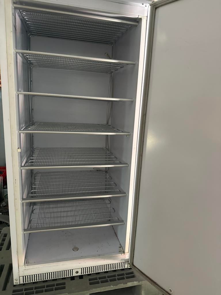 Jumbo vriezer met Rekken - Ideaal voor Horeca/Opslag, Ophalen, 200 liter of meer, 60 cm of meer, 160 cm of meer