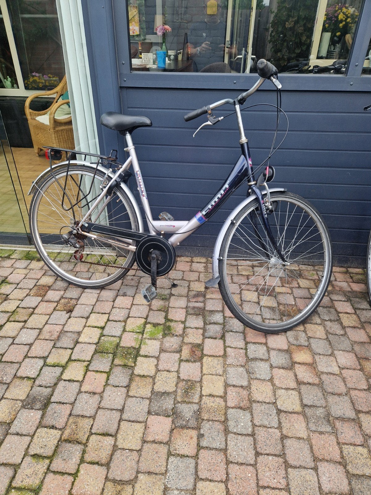 damesfiets, Fietsen en Brommers, Velgrem, Versnellingen, Ophalen, Overige merken