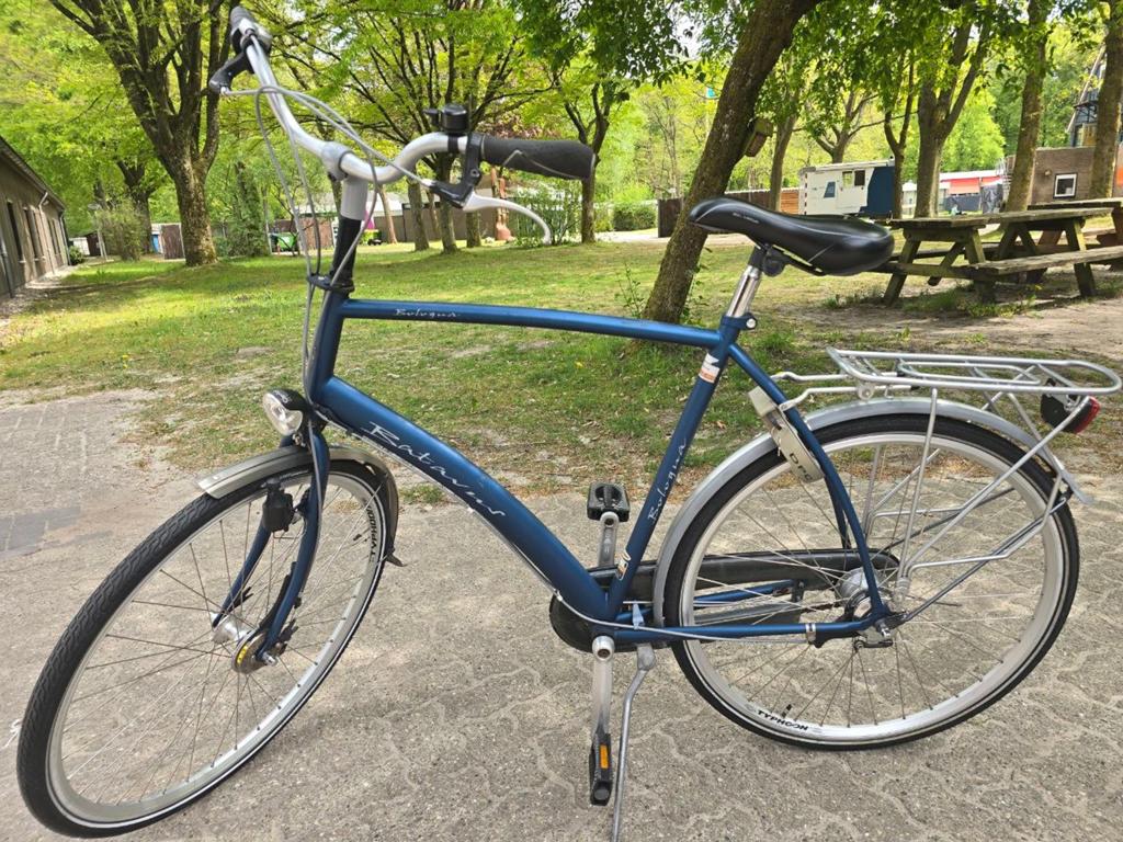 Herenfiets Batavus, Ophalen, Versnellingen, Batavus, Zo goed als nieuw