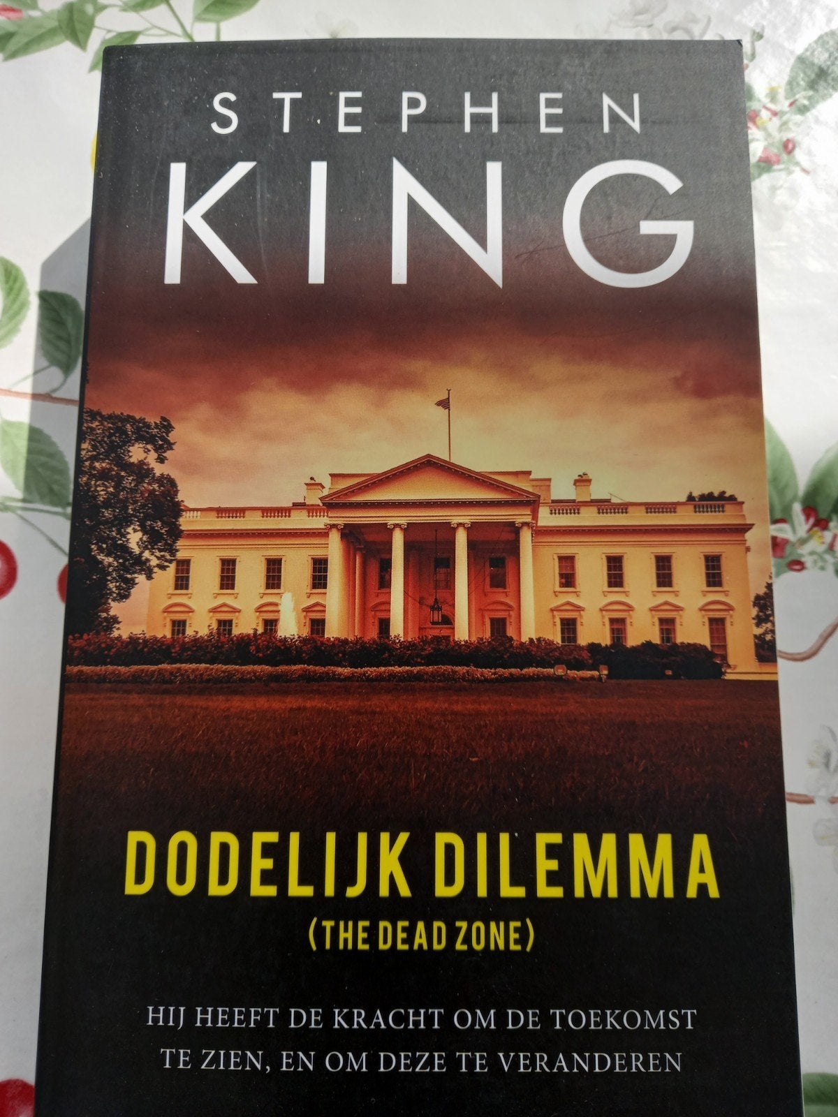Stephen King - Dodelijk dilemma m4, Europa overig, Stephen King, Ophalen of Verzenden, Zo goed als nieuw