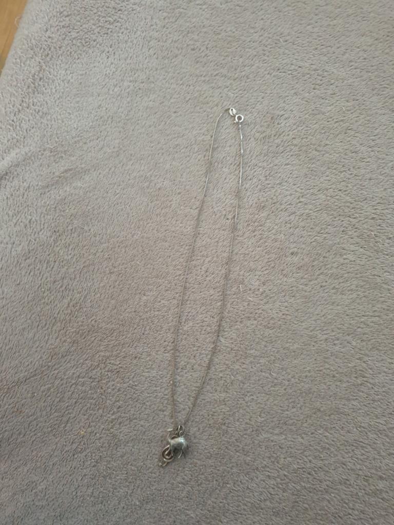 Zilveren ketting met kameel en muzieksleutel hanger, Ophalen, Met hanger, Gebruikt, Zilver