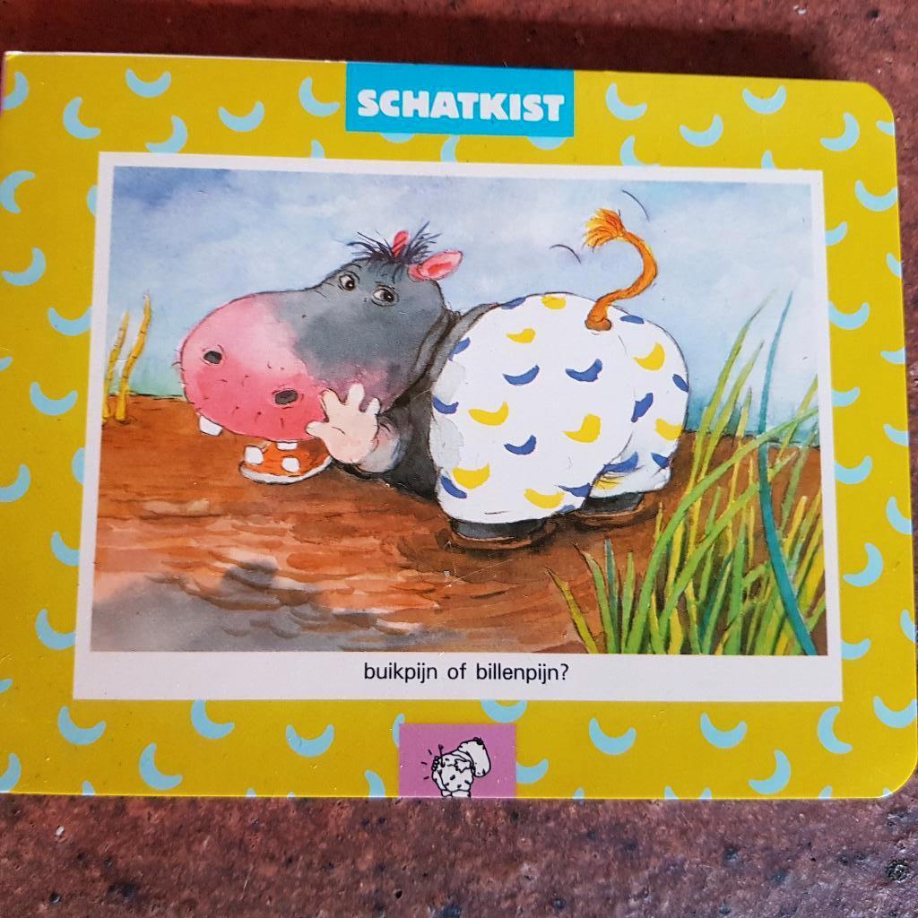 Kijkboekjes met puzzel, Schatkist (zwijsen), Ophalen of Verzenden, Nieuw, 3 tot 4 jaar