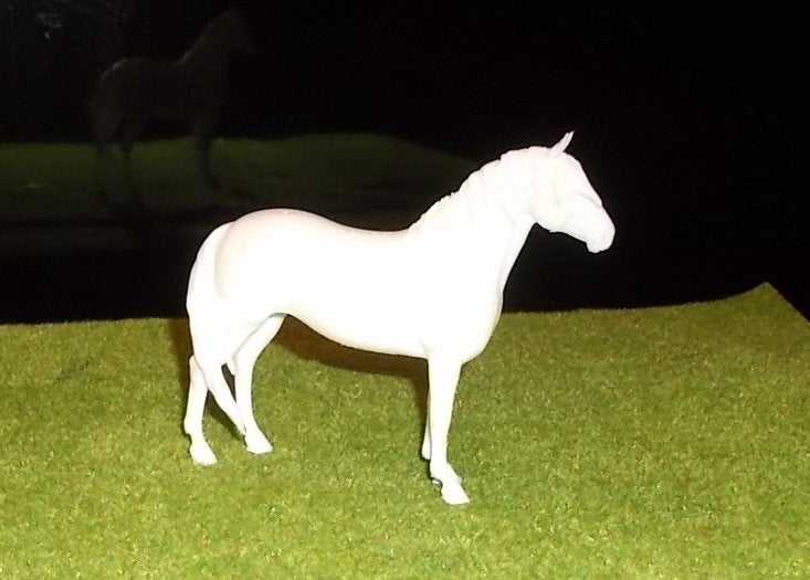 Warmbloed 34 – Losse manen rechts, Ophalen of Verzenden