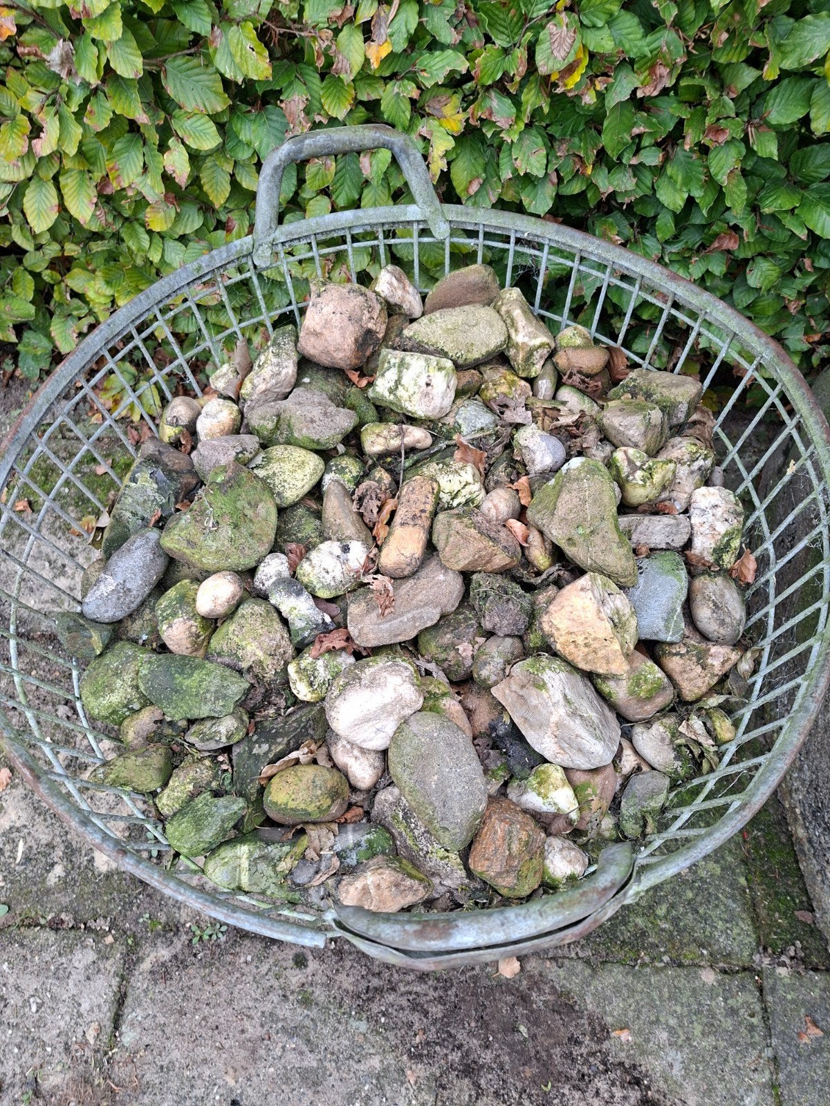 Grote kiezelstenen voor tuin of decoratie. zonder de mand !, Ophalen, Gebruikt, Multi, Kei
