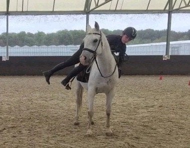Zadelmak maken/doorrijden/trauma + gedragsproblemen oplossen, Diensten en Vakmensen, Dieren | Paarden | Verzorging, Oppas en Les