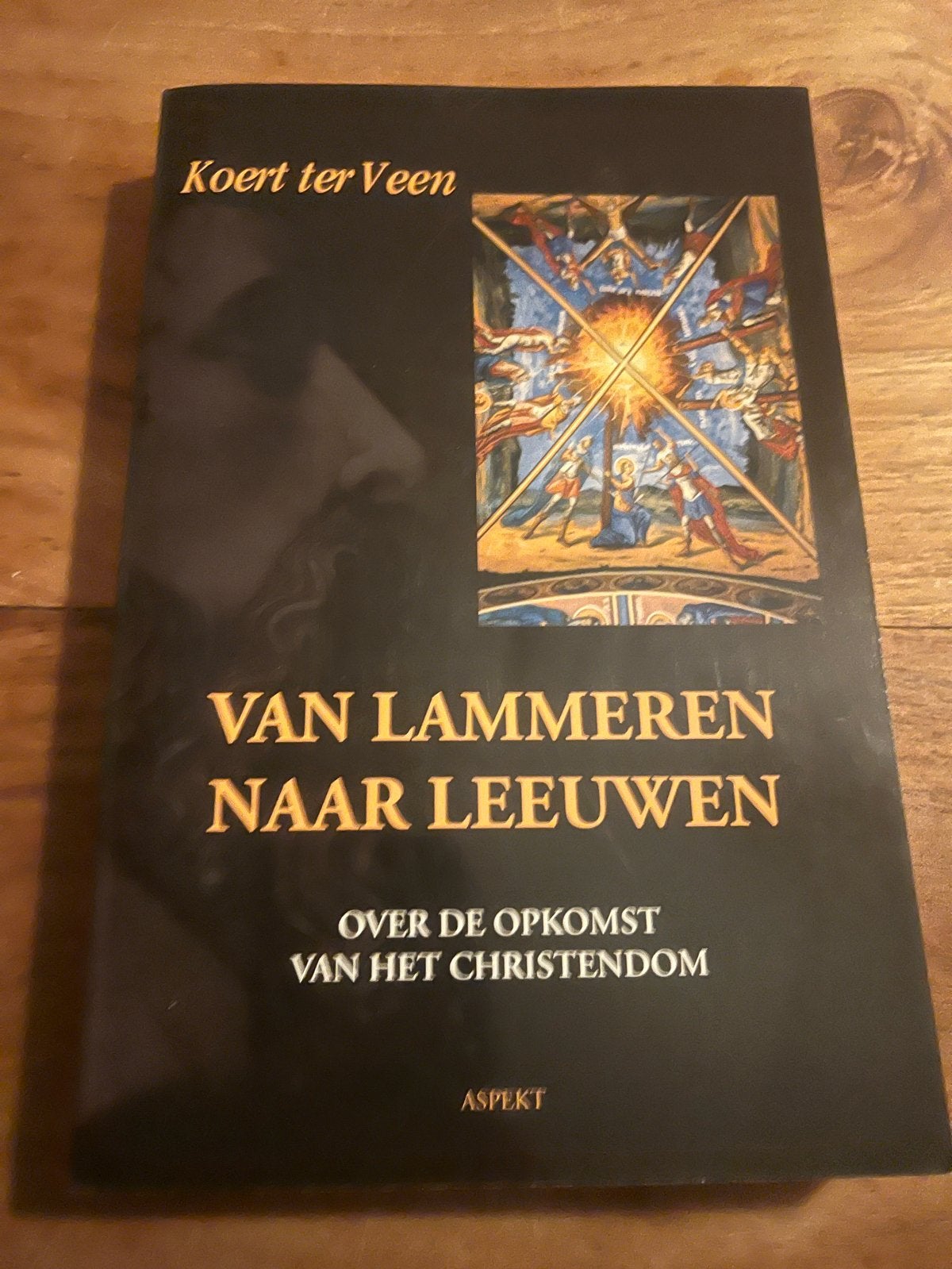 Van Lammeren naar Leeuwen: Opkomst Christendom, Boeken, Godsdienst en Theologie, Ophalen of Verzenden, Zo goed als nieuw, Christendom | Katholiek