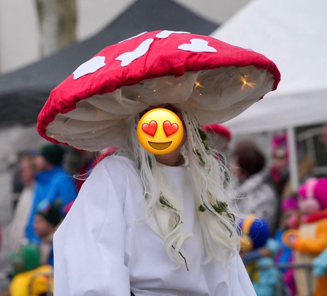 Loopgroep carnaval paddenstoelen, Ophalen, Zo goed als nieuw, Overige maten
