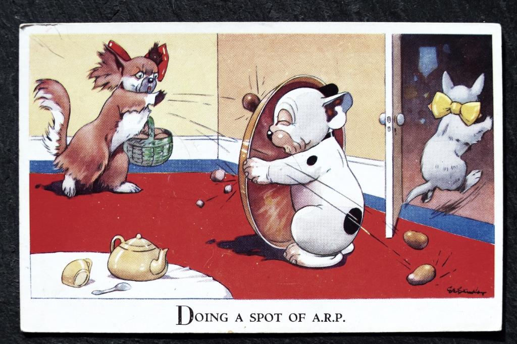 Hond Bonzo krijgt de aardappels naar zich toe geworpen, Verzenden, Voor 1920, Ongelopen, Hond of Kat