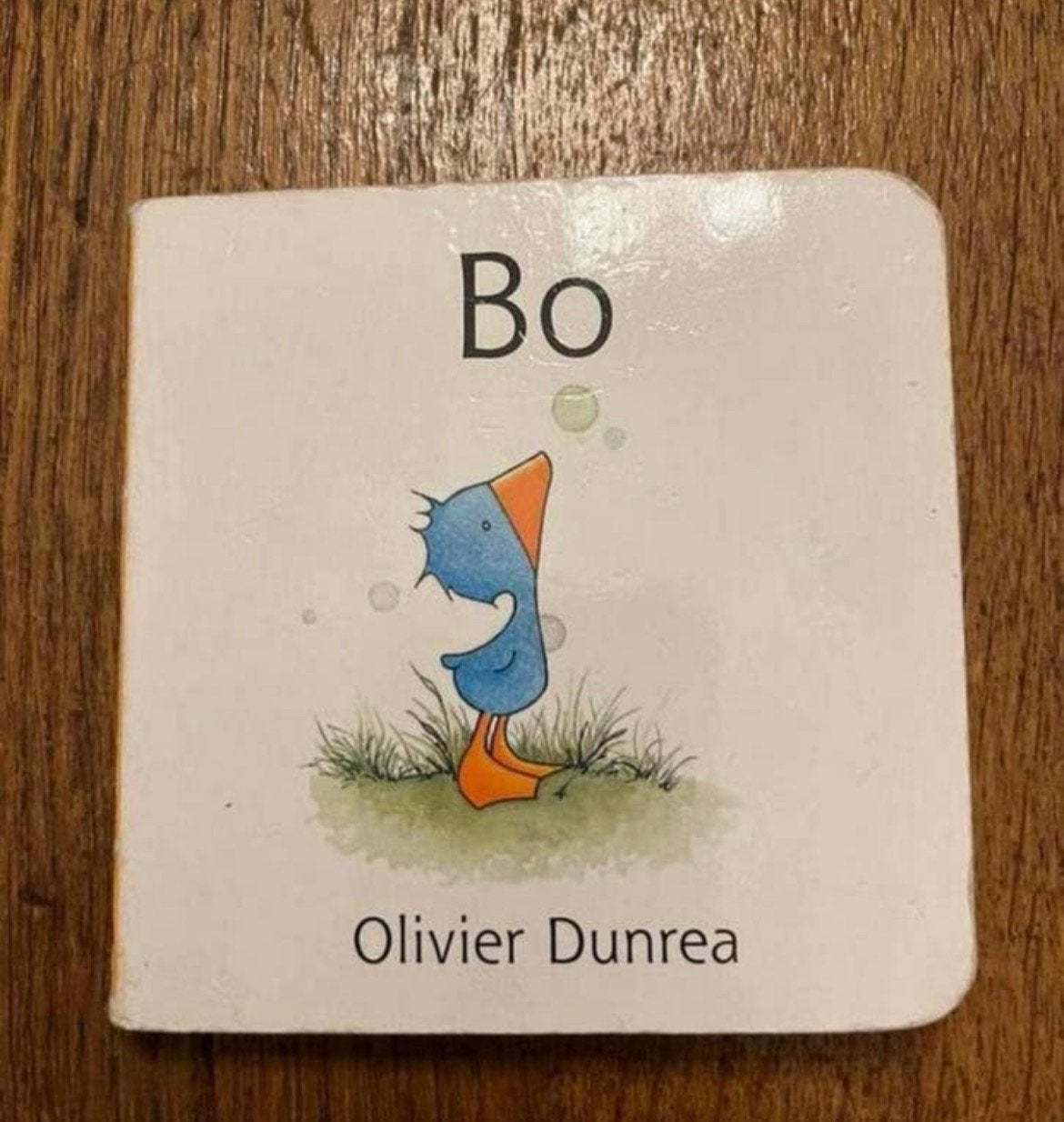 Leesboek ‘Bo’ mini boek eendjes, Ophalen of Verzenden, Zo goed als nieuw, Uitklap-, Voel- of Ontdekboek, 6 tot 12 maanden