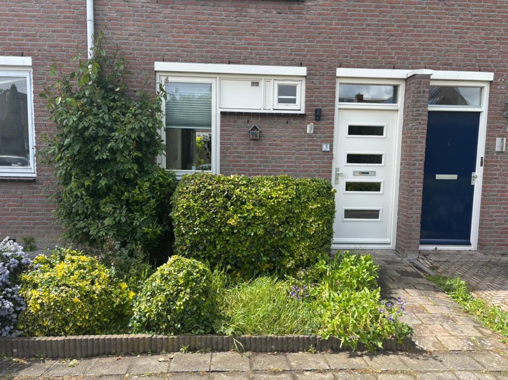 Planten, houten wandje voor kliko’s en tegels, Ophalen of Verzenden, Halfschaduw, Overige soorten, 100 tot 250 cm