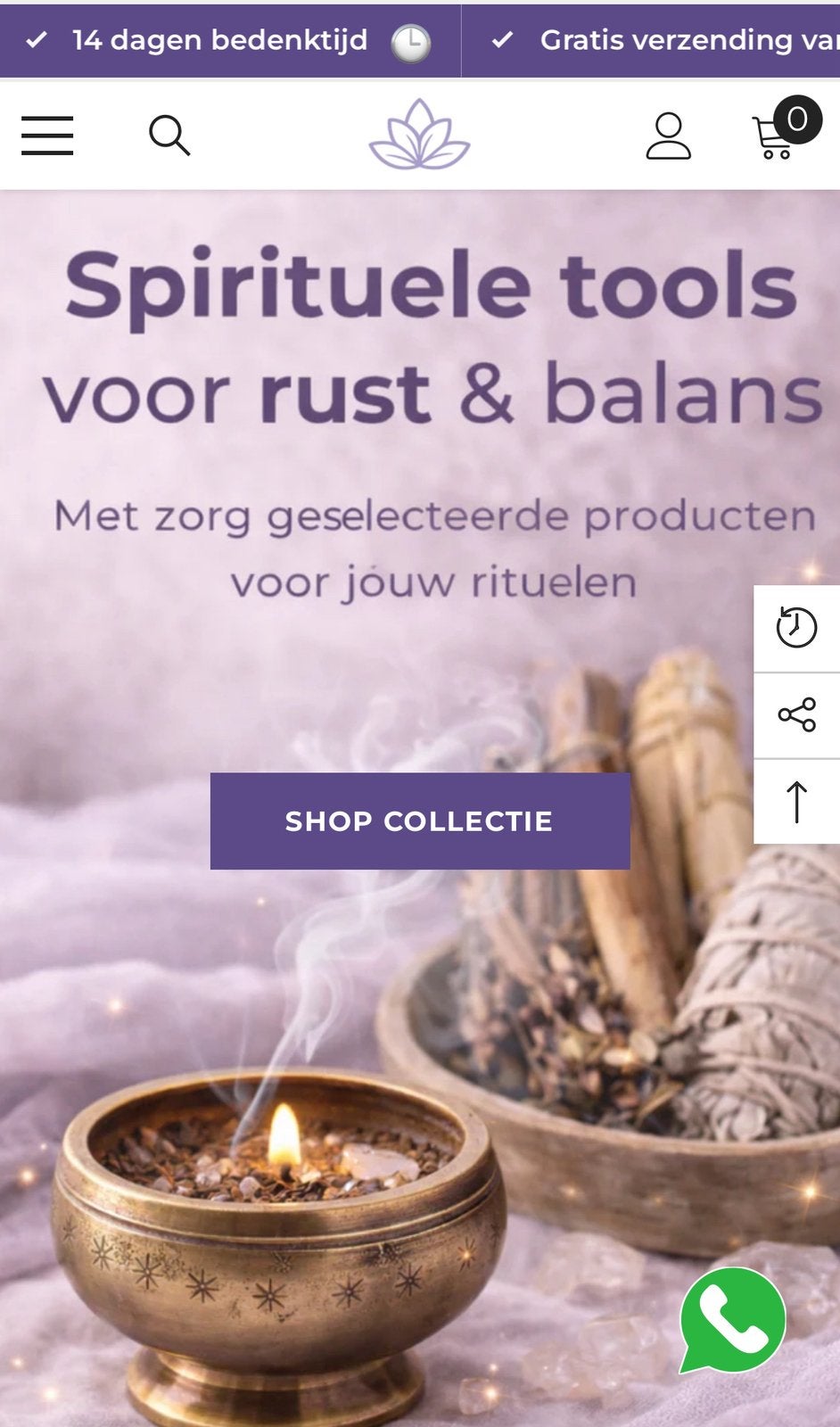 Website laten maken voor €249 + €39 p/m(hosting & onderhoud), Verzenden, Nieuw
