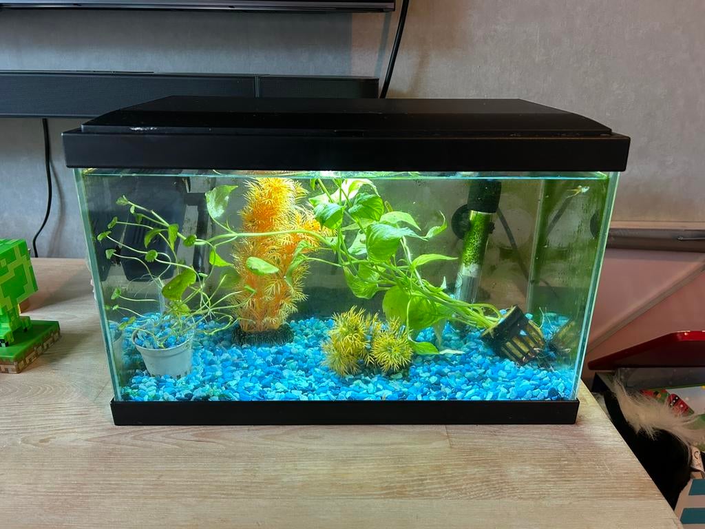 Klein aquarium, Dieren en Toebehoren, Ophalen of Verzenden, Inclusief deksel, Zo goed als nieuw, Verlichting of Verwarming