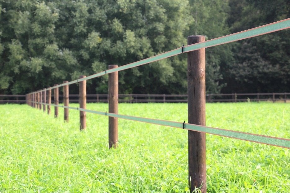 9. Schriklint | lint omheining | paarden afrastering, Weidegang, 4 paarden of pony's of meer