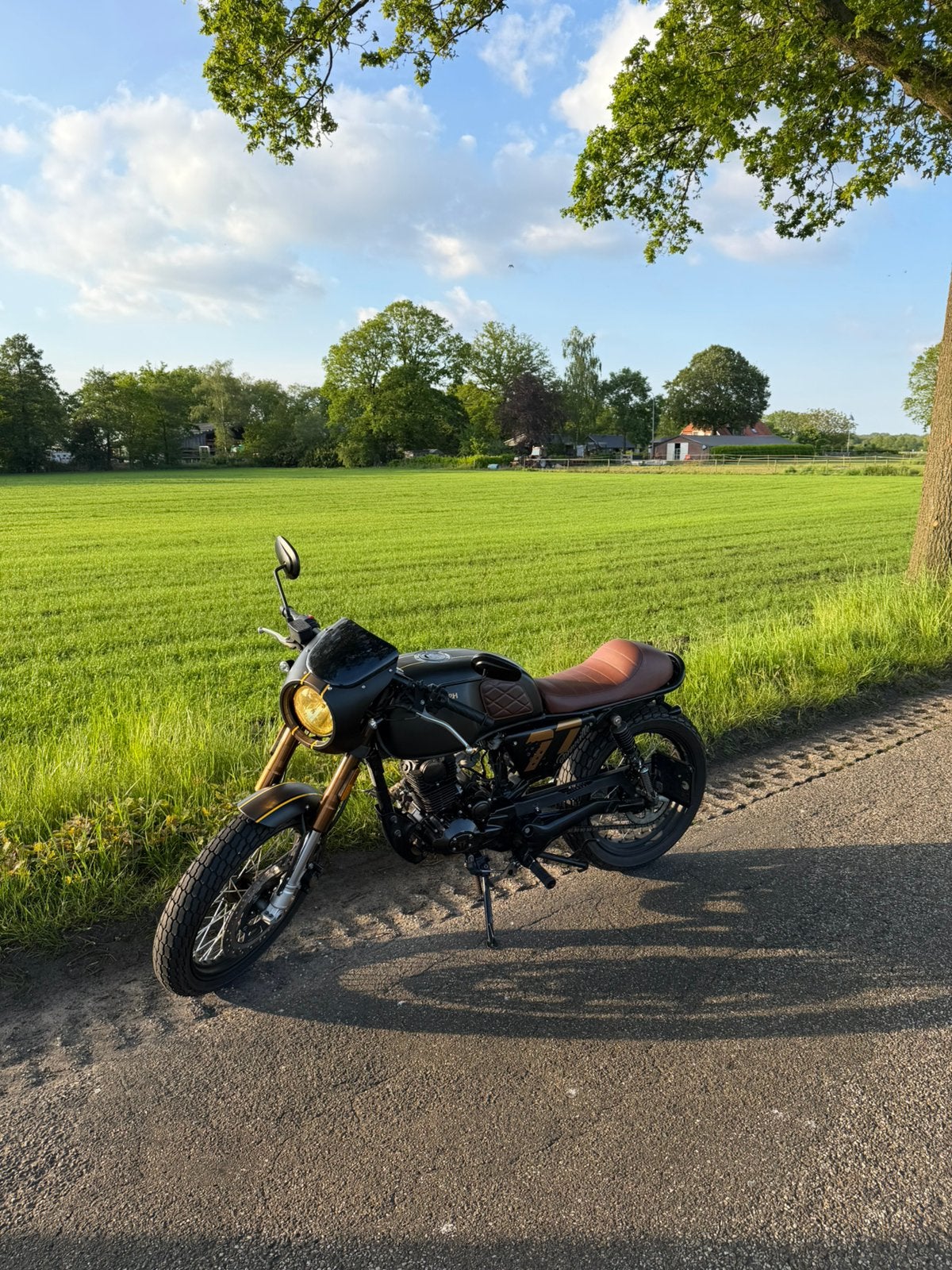 Hanway muscle 50, Custom triumph livery, Occasion, Particulier, Overig, 11 kW of minder