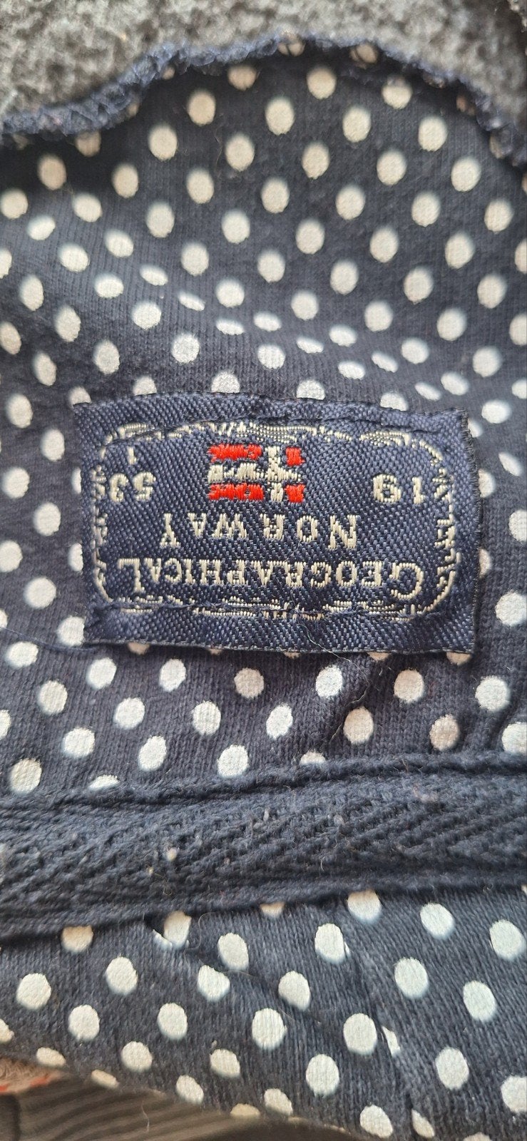 Geographical Norway Hoodie/vest met Noorse Vlag Design, Maat 38/40 (M), Geographical Norway, Ophalen of Verzenden, Grijs