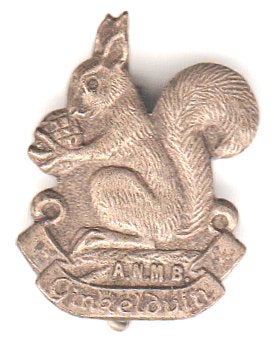 Ginkelduin ANMB eekhoorn broche vintage, Verzamelen, Verzenden, Zo goed als nieuw