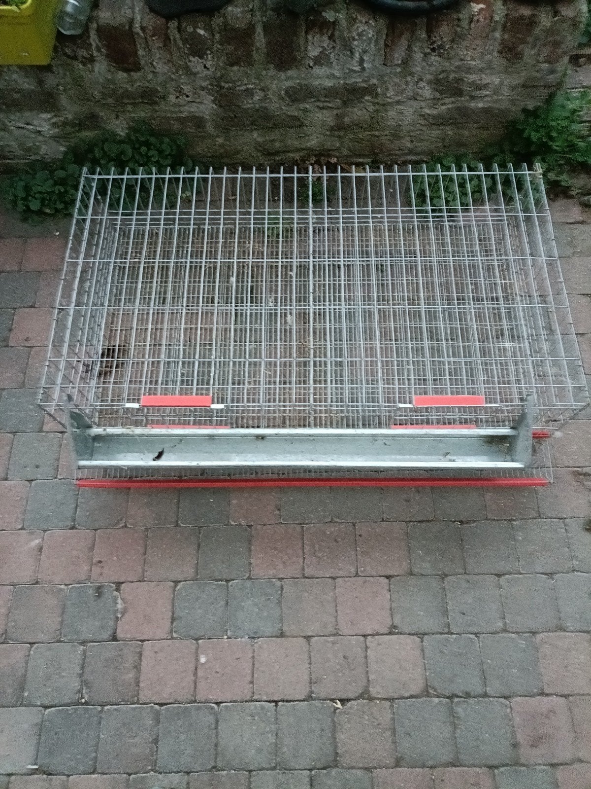 Rvs kwartel kooi, Ophalen of Verzenden, Gebruikt, Drinken en Voederen