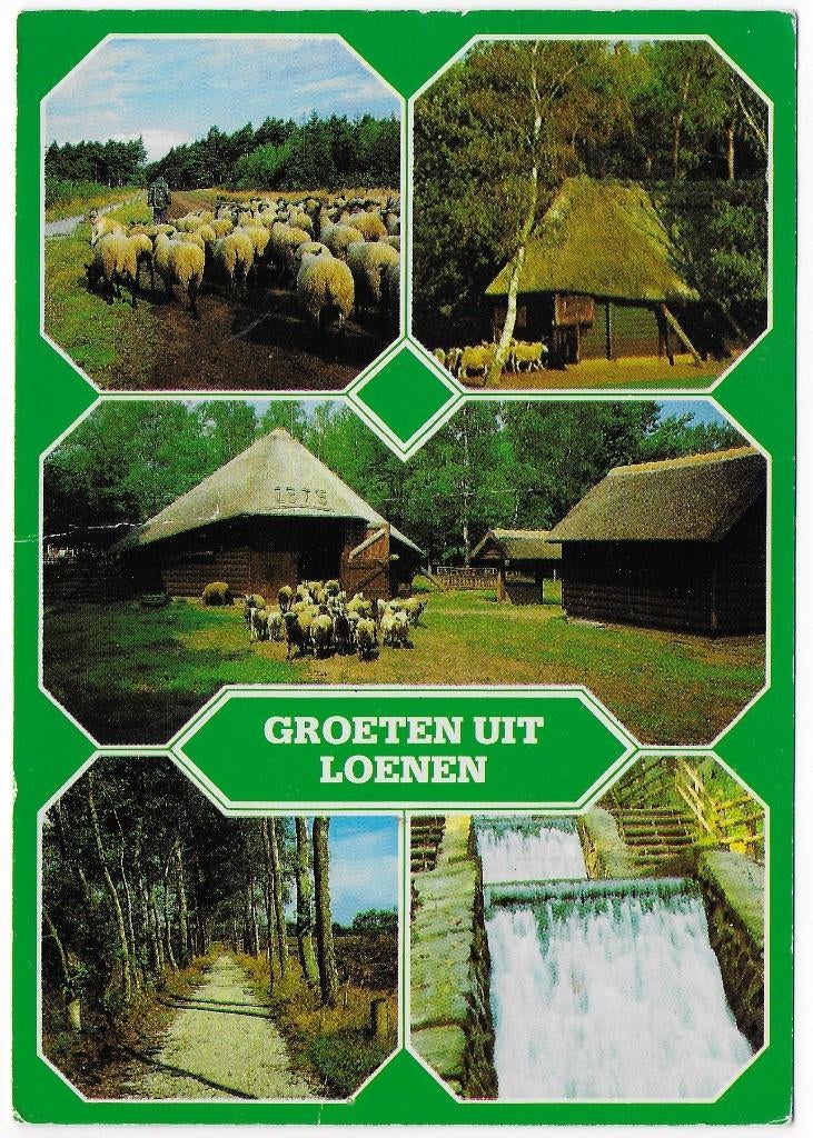 Loenen Gelopen Ansichtkaart ( B6265 ), Ophalen of Verzenden, 1980 tot heden, Gelopen, Gelderland