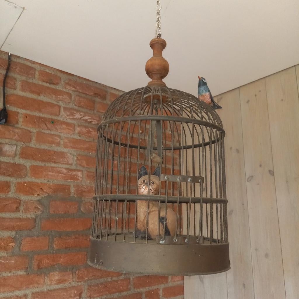 Koperen vogelkooi, Dieren en Toebehoren, Vogels | Overige Vogels, Mannelijk