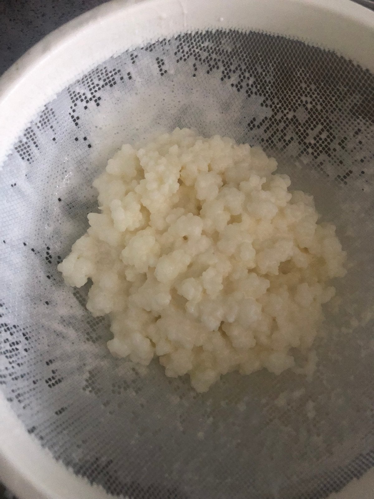 Melkkefir, Ophalen of Verzenden