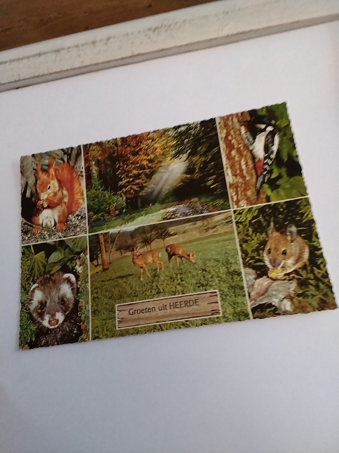 Oude ansichtkaart Groeten uit Heerde met dieren, Ophalen of Verzenden, 1960 tot 1980, Gelopen, Gelderland