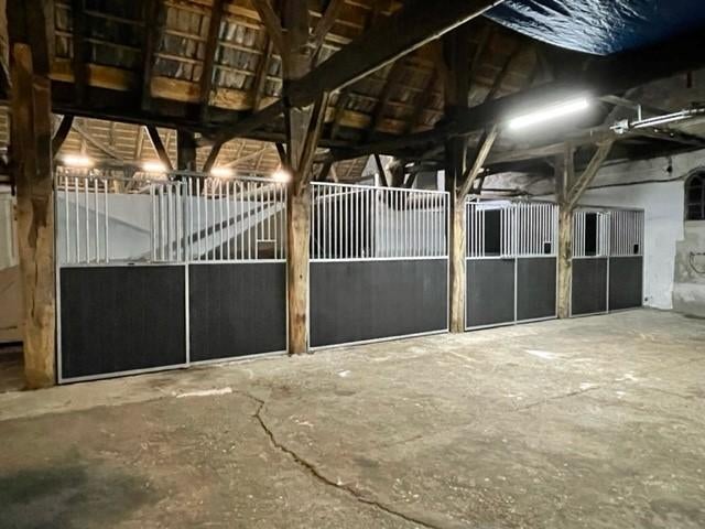 Paardenboxen Actieset | 3 Complete Boxen 4x4 | Nieuw | Heass, Weidegang, 2 of 3 paarden of pony's