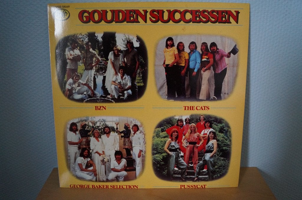 LP Gouden Successen  - krasvrij 1411, Ophalen, 1980 - 1989, Zo goed als nieuw, Inclusief binnenhoes