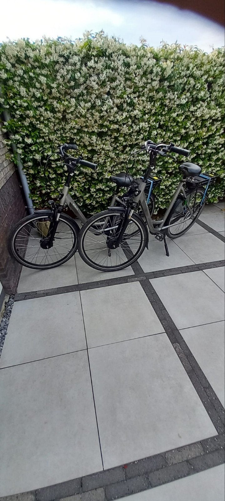 Twee Stella Vienna Champagne FDST Comfort E-bikes, 51 tot 55 cm, Ophalen, Zo goed als nieuw, Overige merken