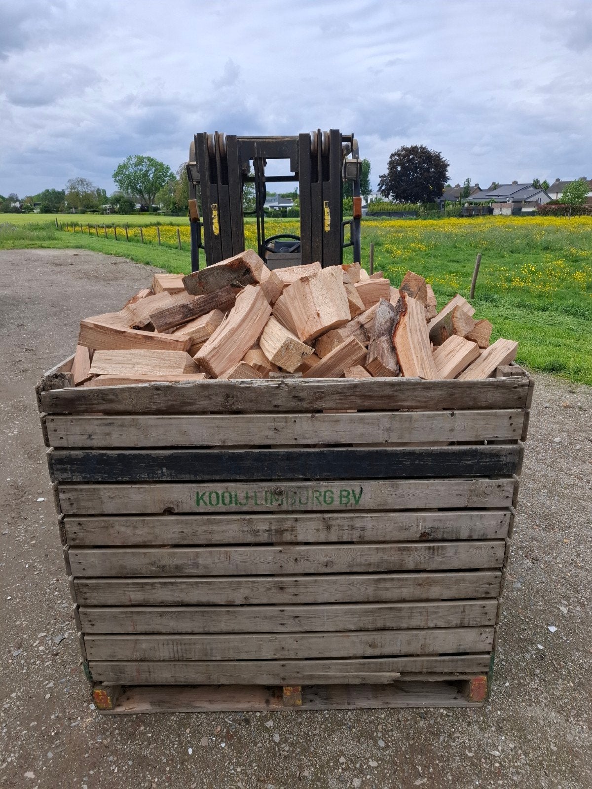 DROOG Beukenhout, 6 m³ of meer, Ophalen of Verzenden, Beukenhout, Blokken