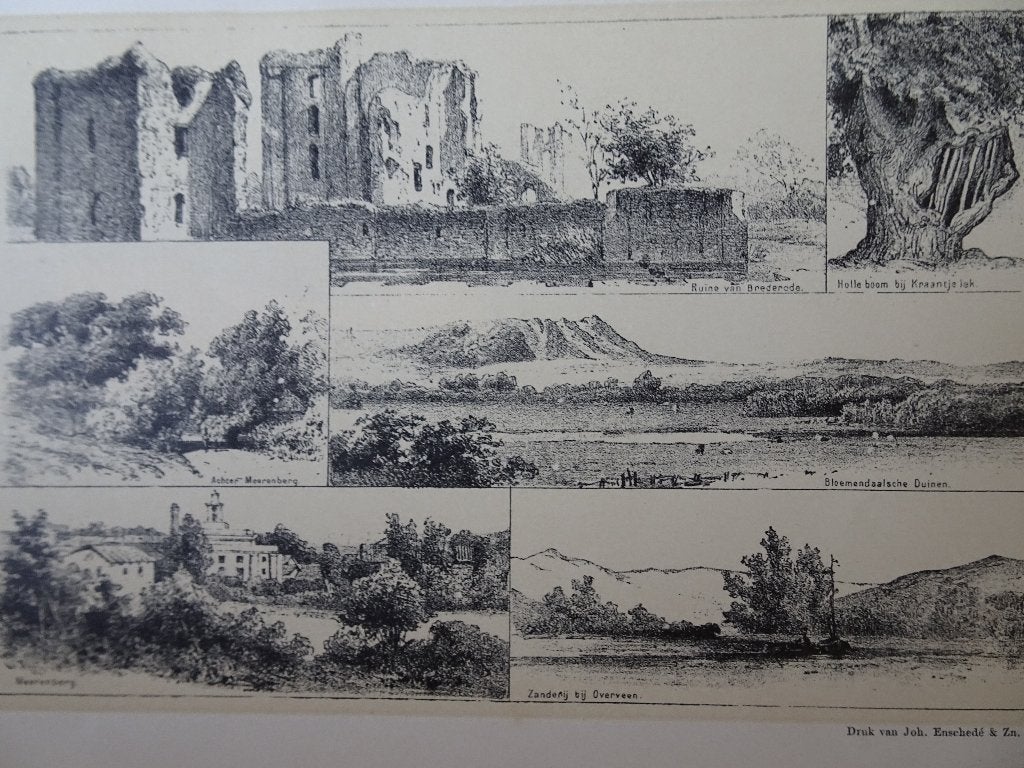 litho Kraantje Lek Ruine Brederode Bloemendaalse duinen 1890, Ophalen of Verzenden, Lithografie, Origineel