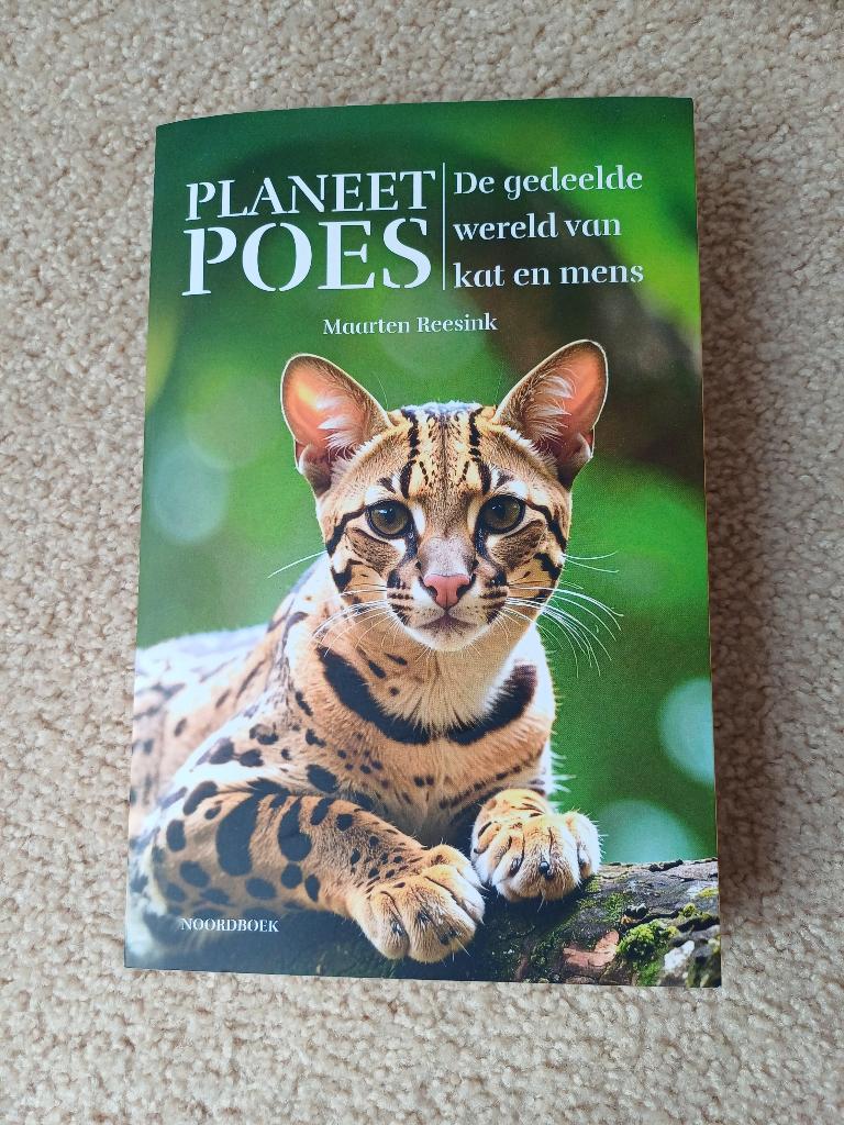 Planeet Poes de gedeelde wereld van kat en mens, Boeken, Nieuw, Ophalen of Verzenden, Maarten Reesink, Katten