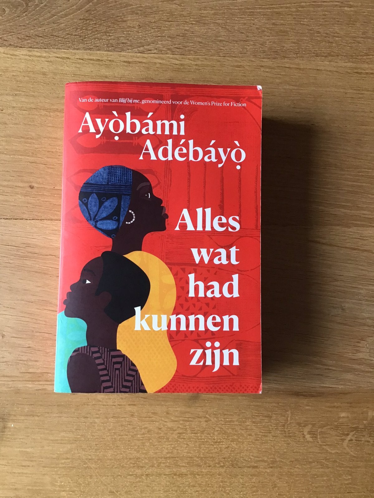 Alles wat had kunnen zijn, Ayòbámi Adébéyò, Ophalen, Gelezen
