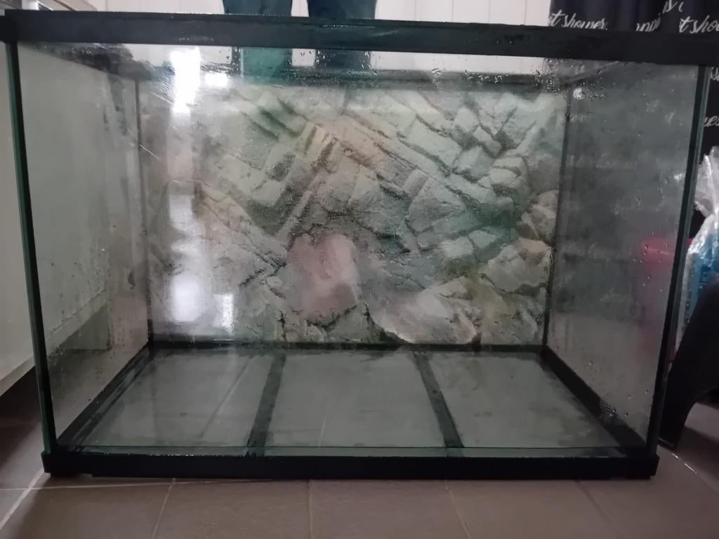 Aquarium, Dieren en Toebehoren, Vissen | Aquaria en Toebehoren, Ophalen, Zo goed als nieuw, Leeg aquarium