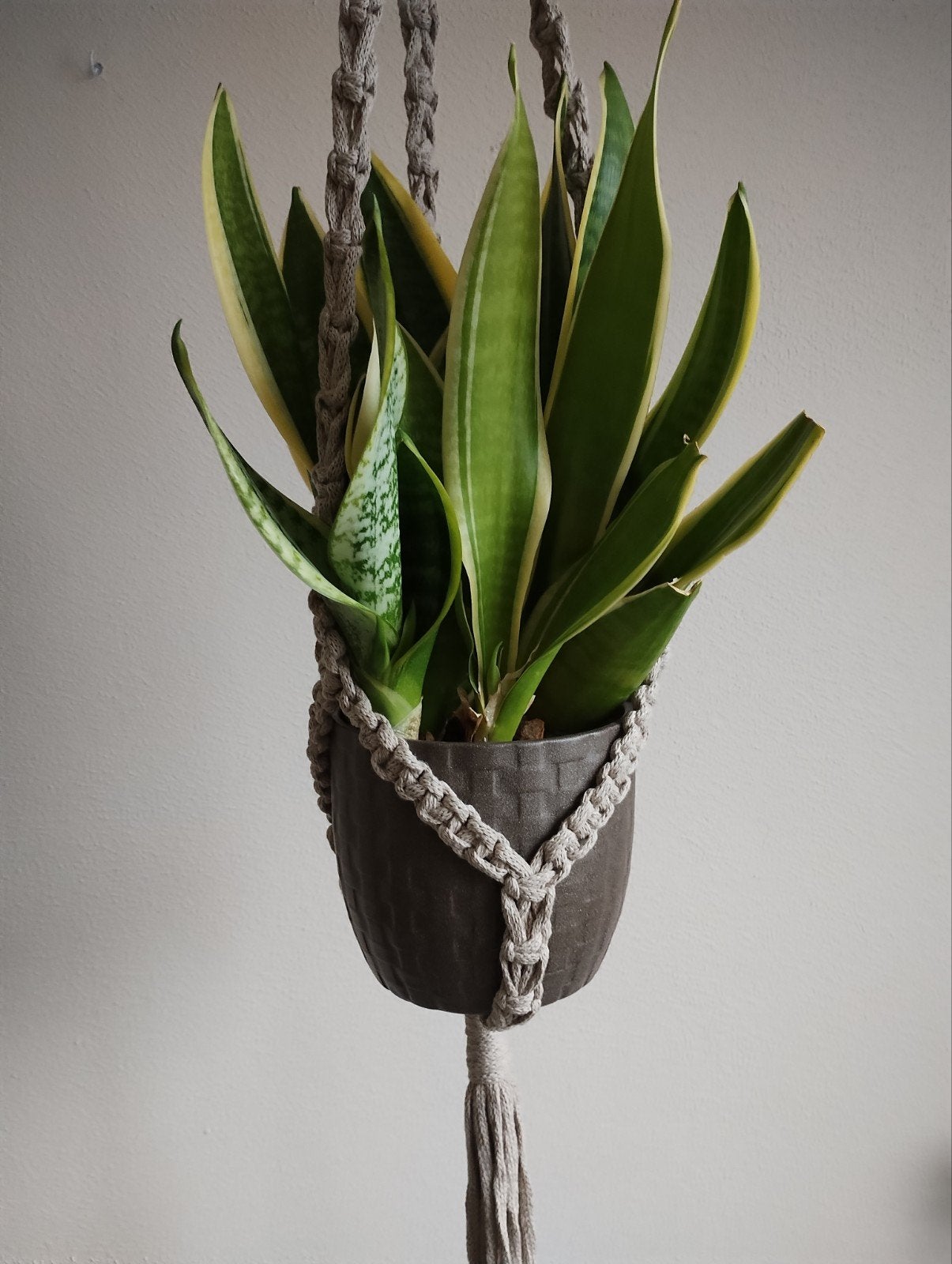Handgemaakte macramé plantenhanger. Sisters Forever., Boho, Nieuw, Ophalen of Verzenden, Grijs