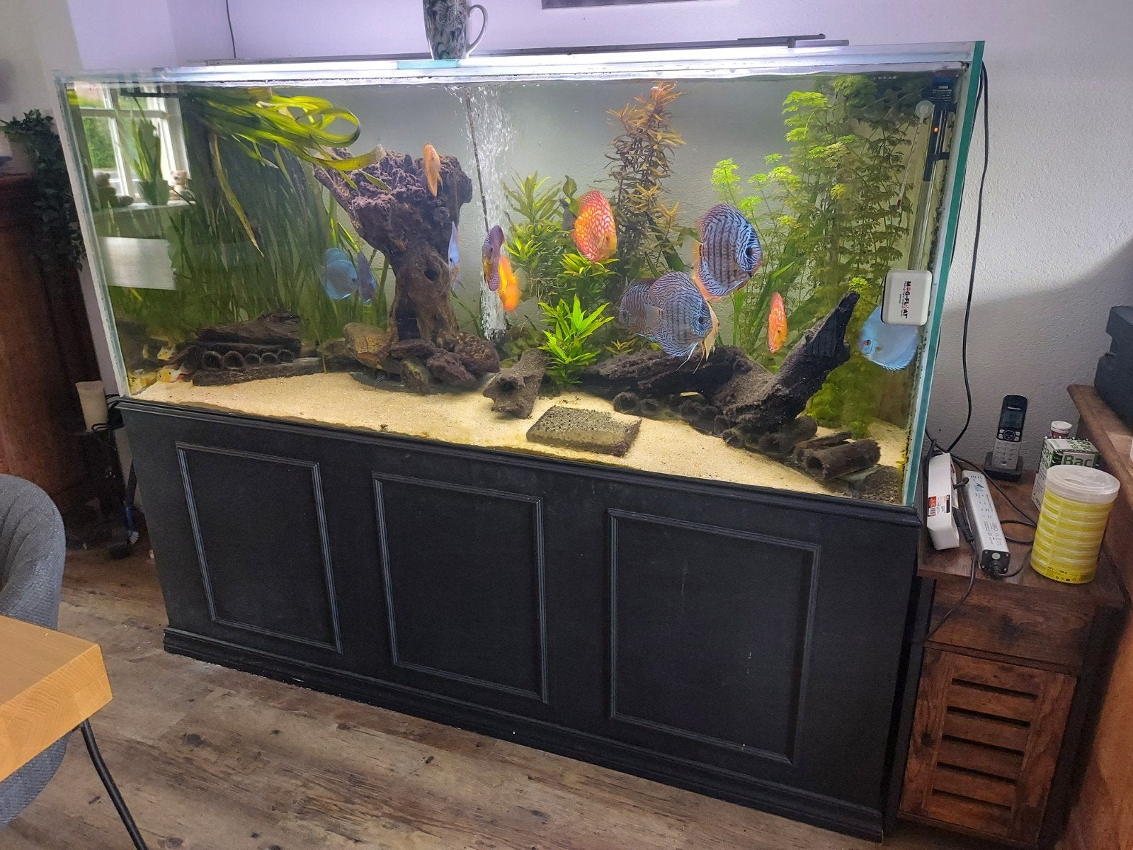 Groot aquarium geheel compleet, Ophalen, Gevuld zoetwateraquarium