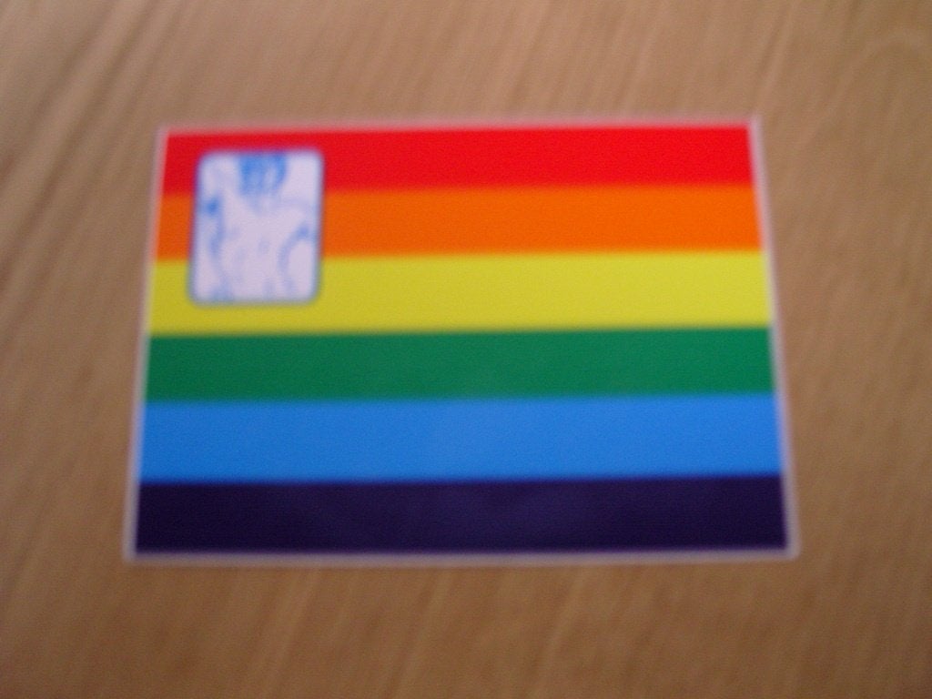 sticker De Pride Vlag  Gay Pride  Regenboog, Ophalen, Zo goed als nieuw