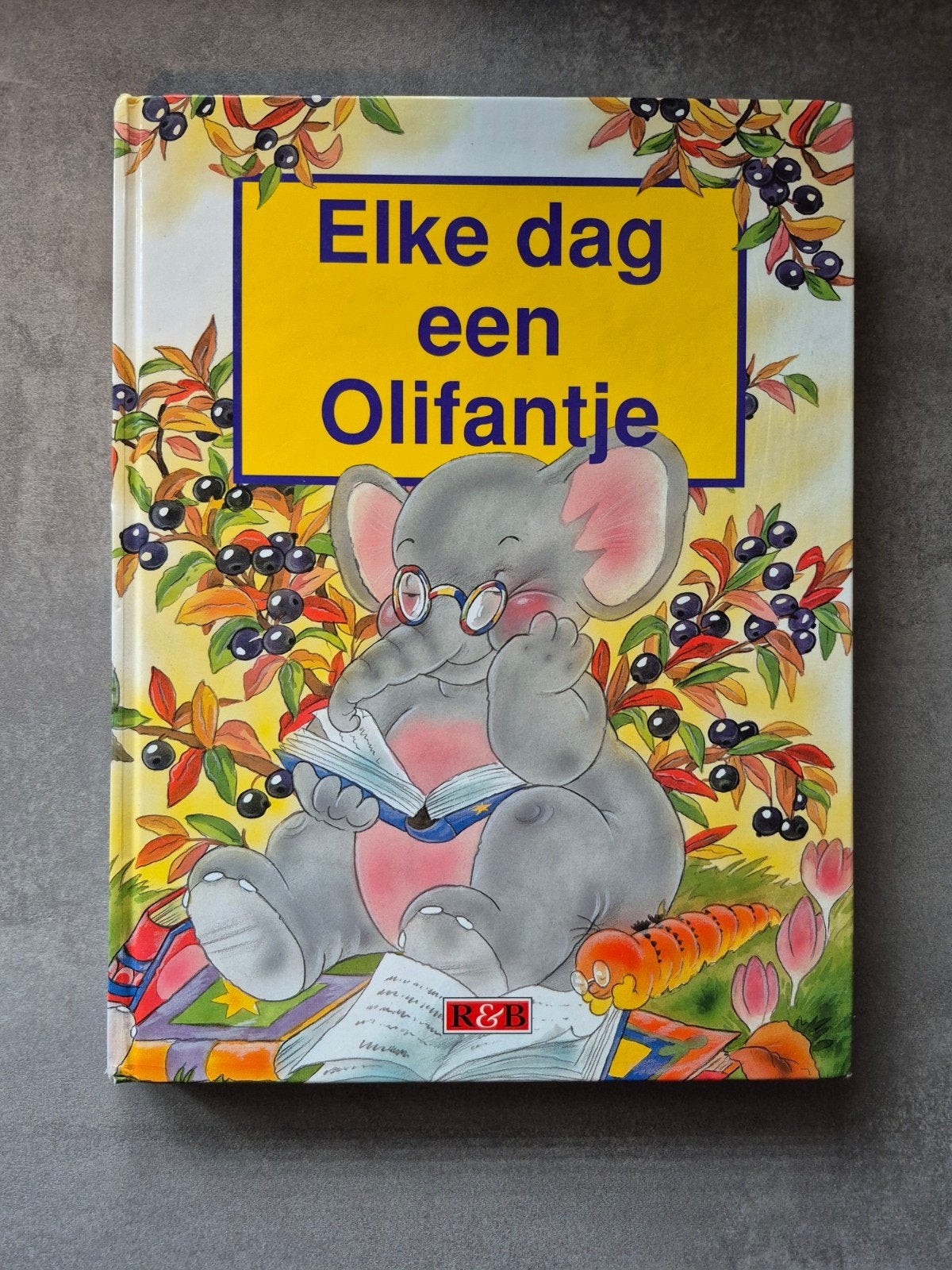 Elke dag een Olifantje - Voorleesboek voor kinderen, Boeken, Kinderboeken | Kleuters, Ophalen of Verzenden, Gelezen