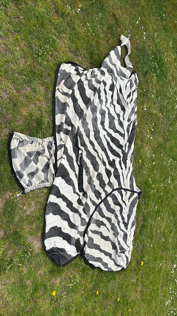 Bucas zebra met buikflap, Dieren en Toebehoren, Paarden en Pony's | Dekens en Dekjes, Ophalen