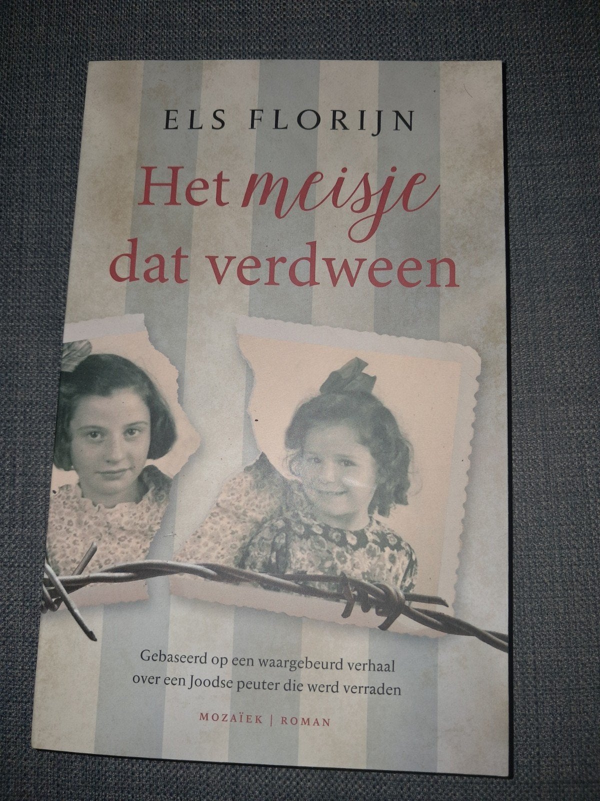 Het meisje dat verdween - Els Florijn (Roman), Boeken, Ophalen of Verzenden, Gelezen, Els Florijn, Nederland