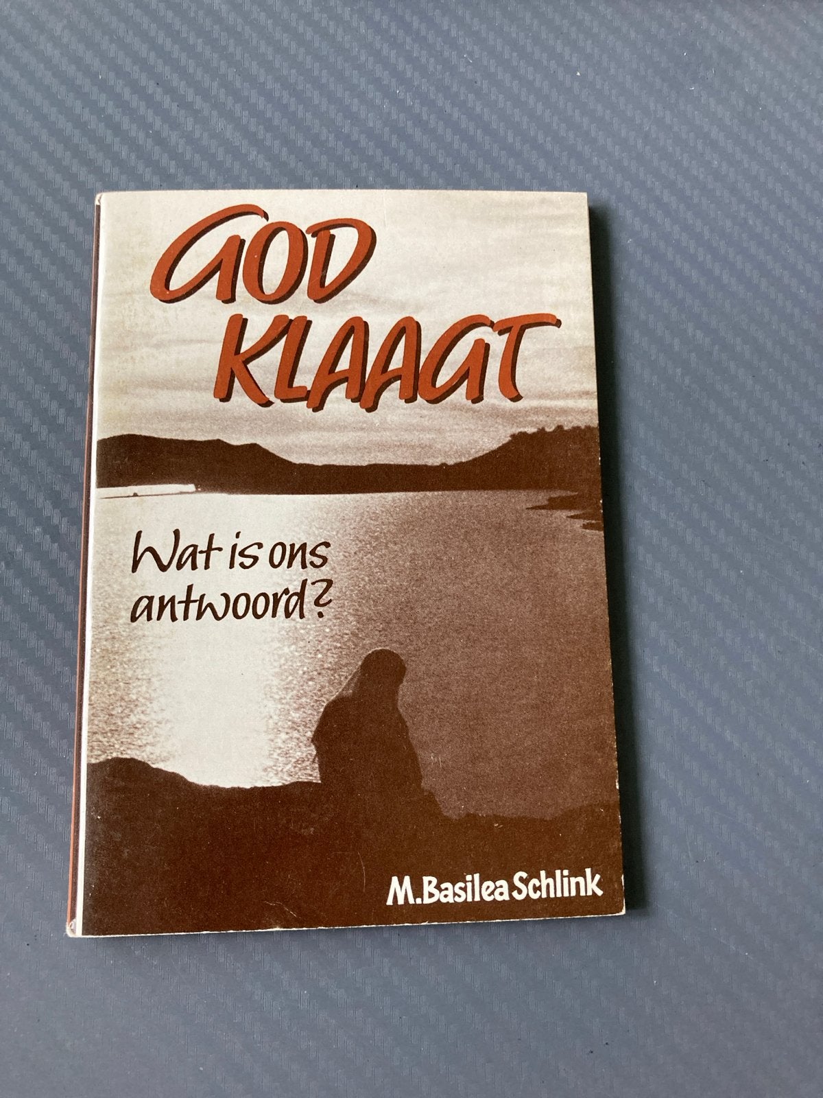 God Klaagt: Wat is ons antwoord? - M. Basilea Schlink, Ophalen of Verzenden, Gelezen, Christendom | Katholiek