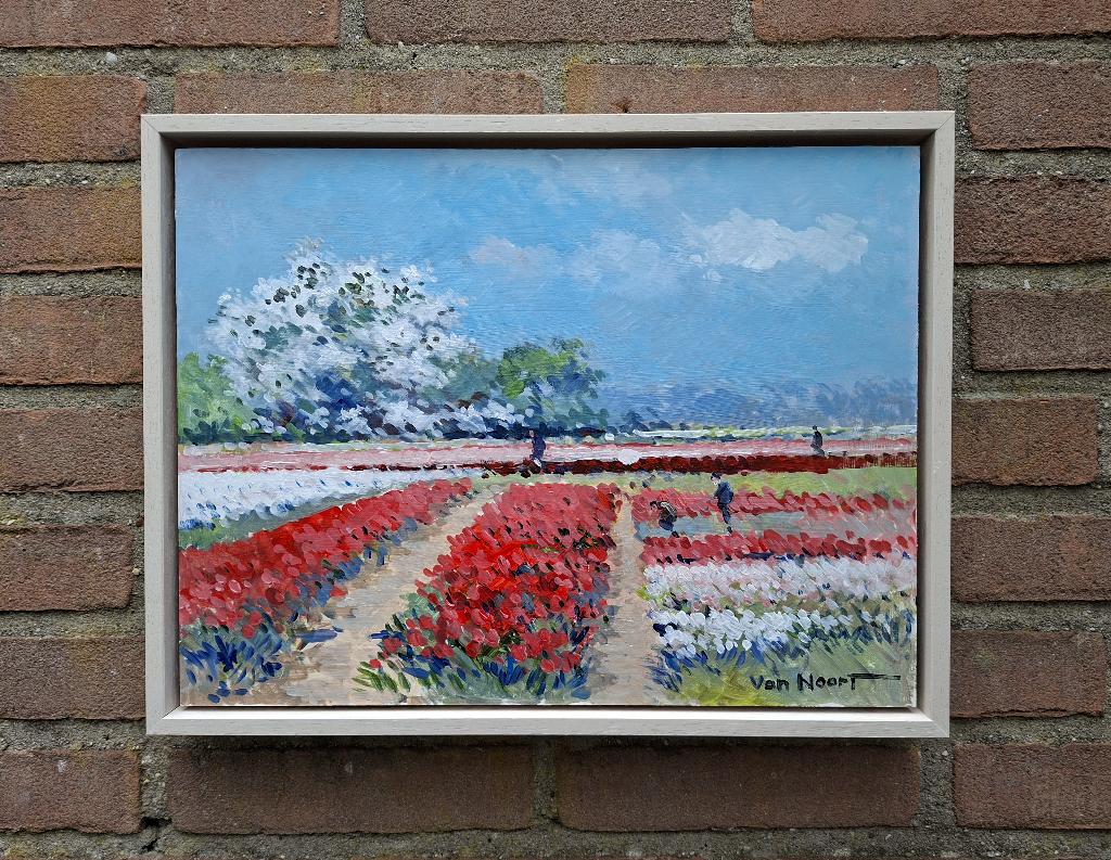 VAN NOORT , BOLLENVELD TE HEEMSTEDE, Antiek en Kunst, Ophalen of Verzenden