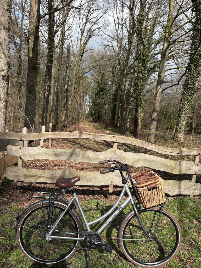 Prachtige Cortina U4 damesfiets belt drive 3 versnellingen, Ophalen, Terugtraprem, Versnellingen, 56 cm of meer