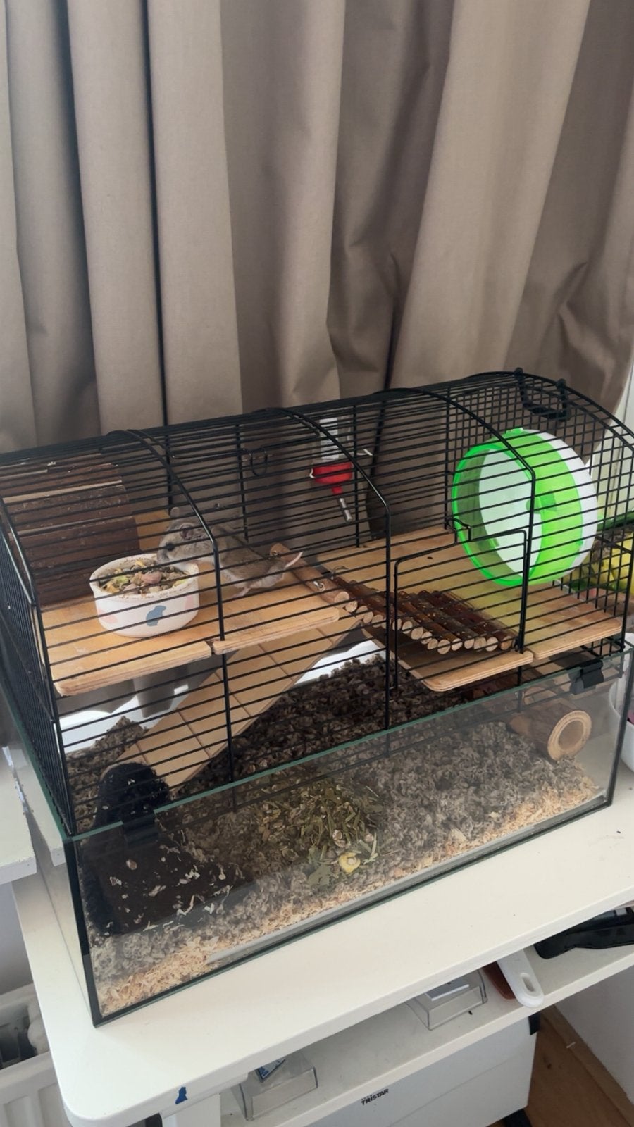 Hamster kooi, Minder dan 60 cm, Minder dan 75 cm, Ophalen of Verzenden, Zo goed als nieuw