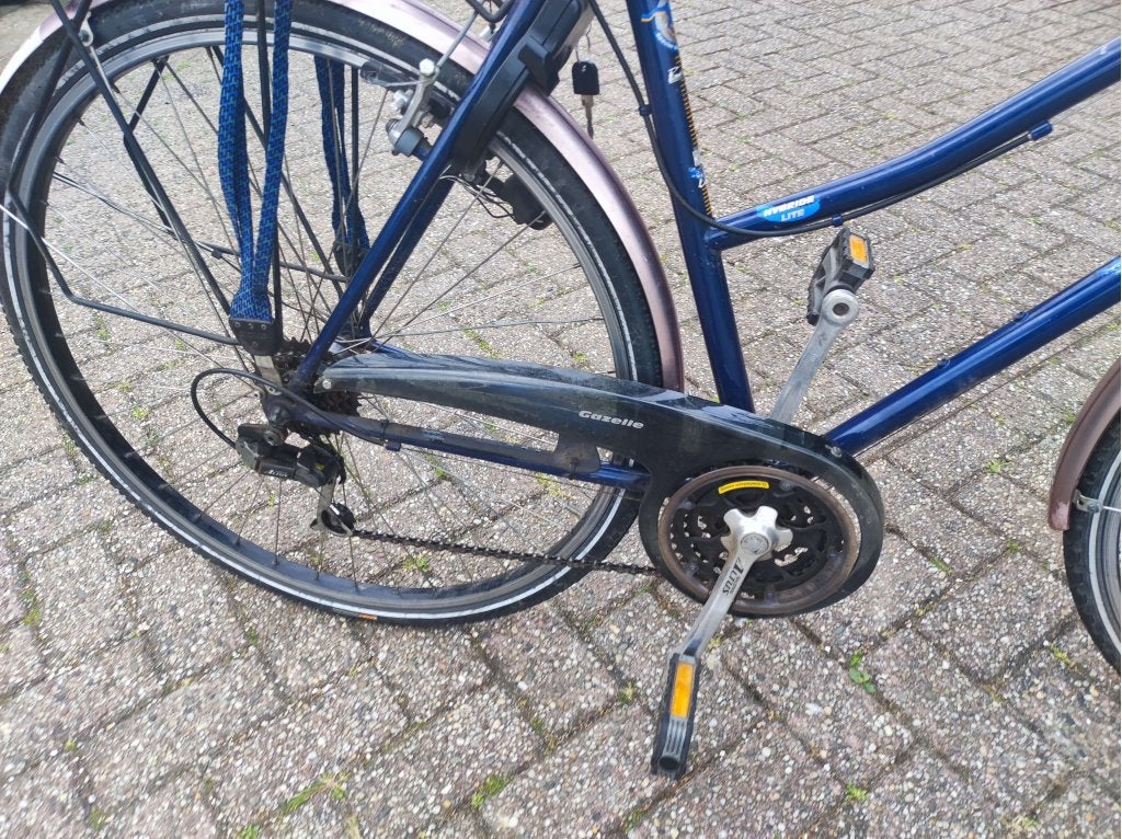 Gazelle  21 speed  en eentje met 6 speed, (Extra) lage instap, Niet ingevuld, Niet ingevuld, Gazelle