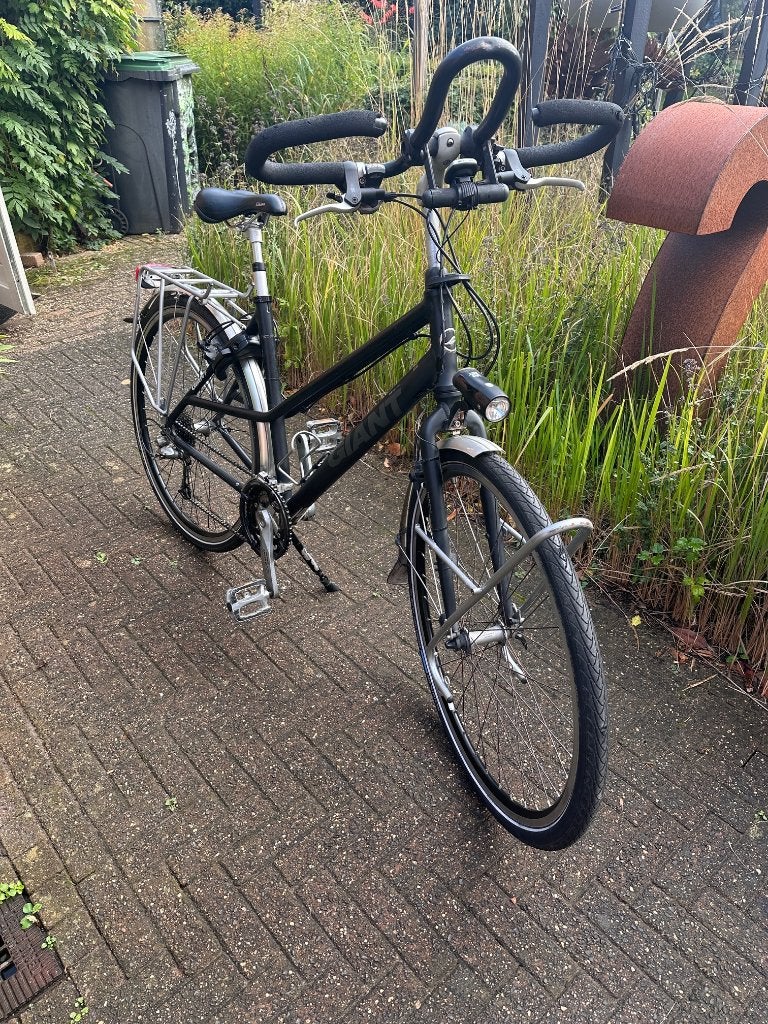Giant Expedition Trekking Damesfiets, Ophalen, Gebruikt, Velgrem, Giant
