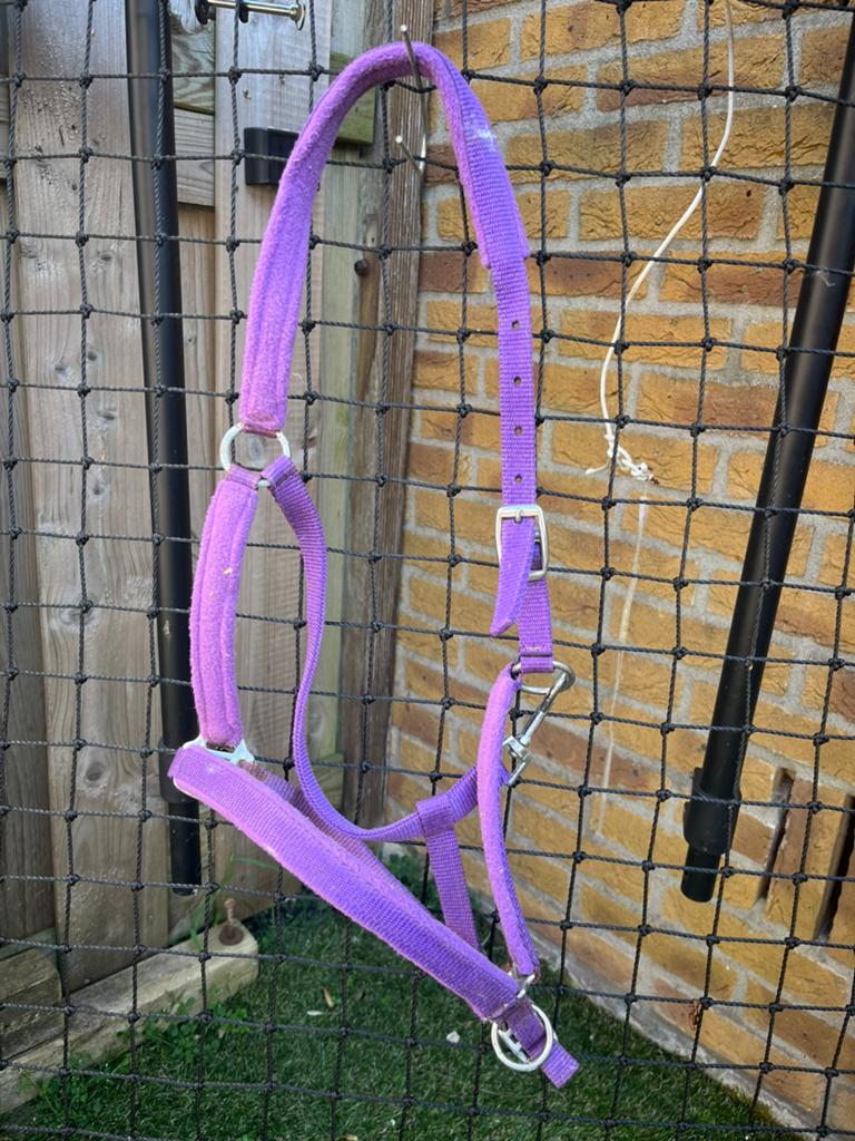 Halsters, Ophalen of Verzenden, Gebruikt, Overige soorten