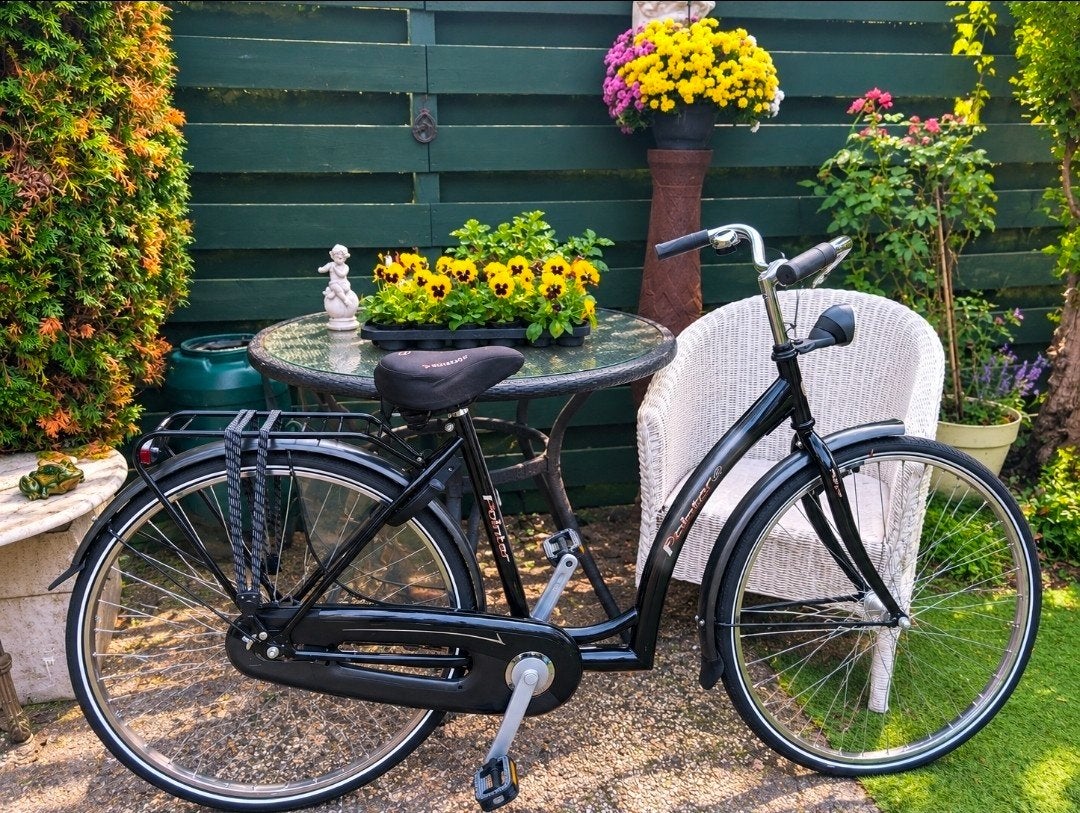 SPIK SPLINTERNIEUW & Prachtige Pointer damesfiets, (Extra) lage instap, 47 tot 50 cm, Nieuw, Trommelrem