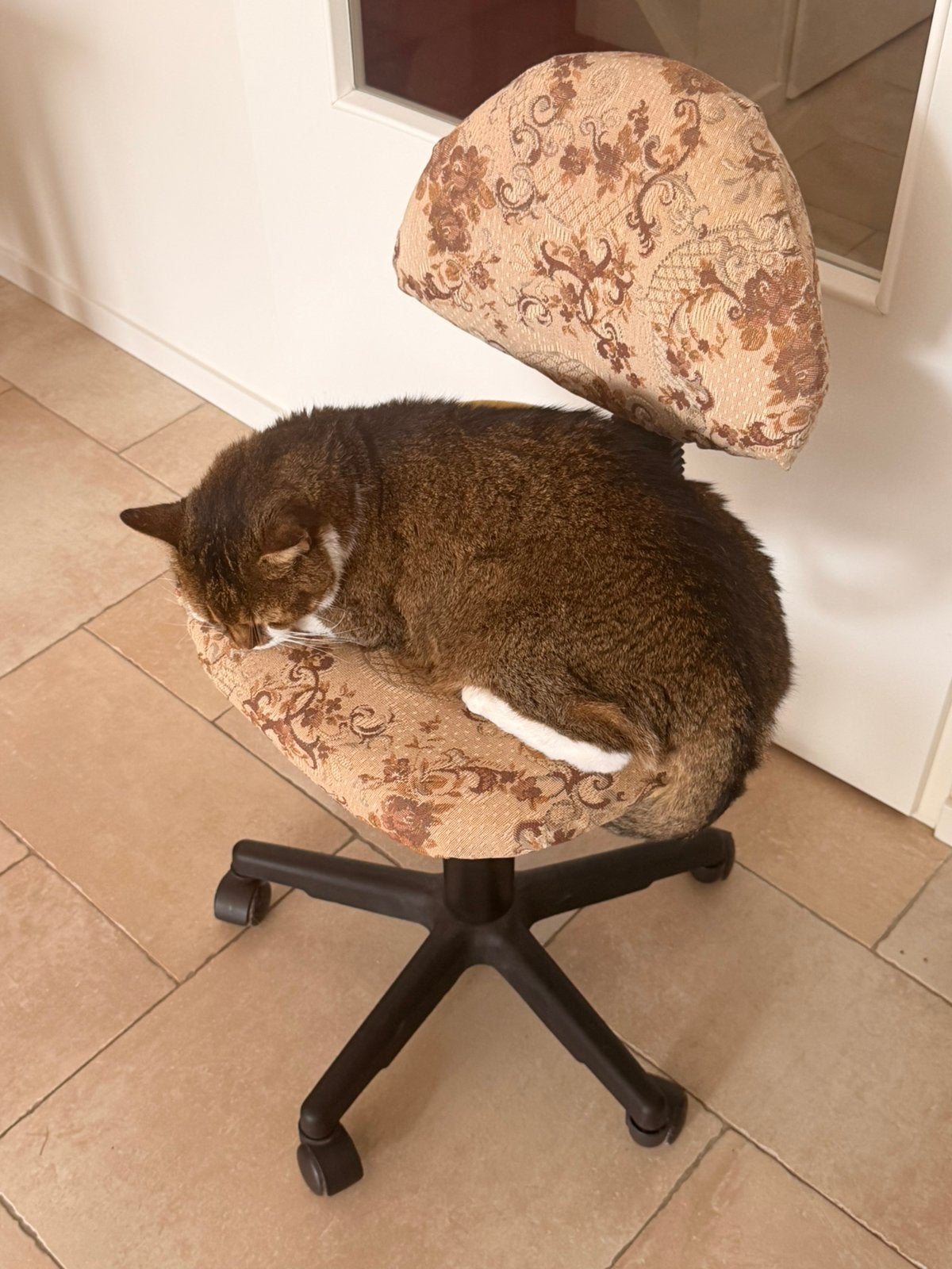 Chair (Cat not for sale), Ophalen of Verzenden, Zo goed als nieuw