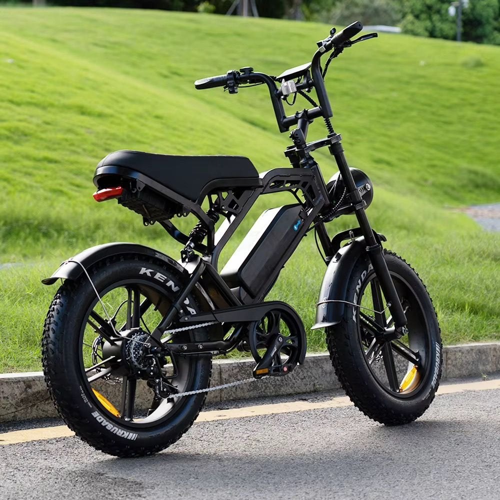 V20 PRO FATBIKE – NIEUW – GARANTIE – FACTUUR, Fietsen en Brommers, Overige merken, -, -, Nieuw